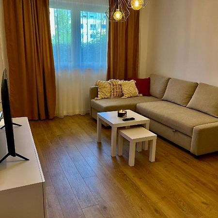 Alexander Cozy Apartment Free Private Parking Mediaş Buitenkant foto