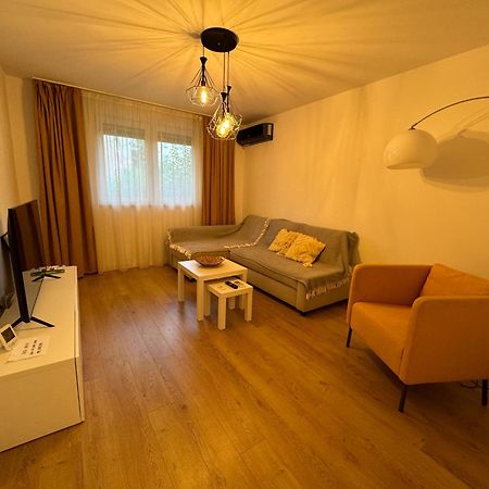 Alexander Cozy Apartment Free Private Parking Mediaş Buitenkant foto
