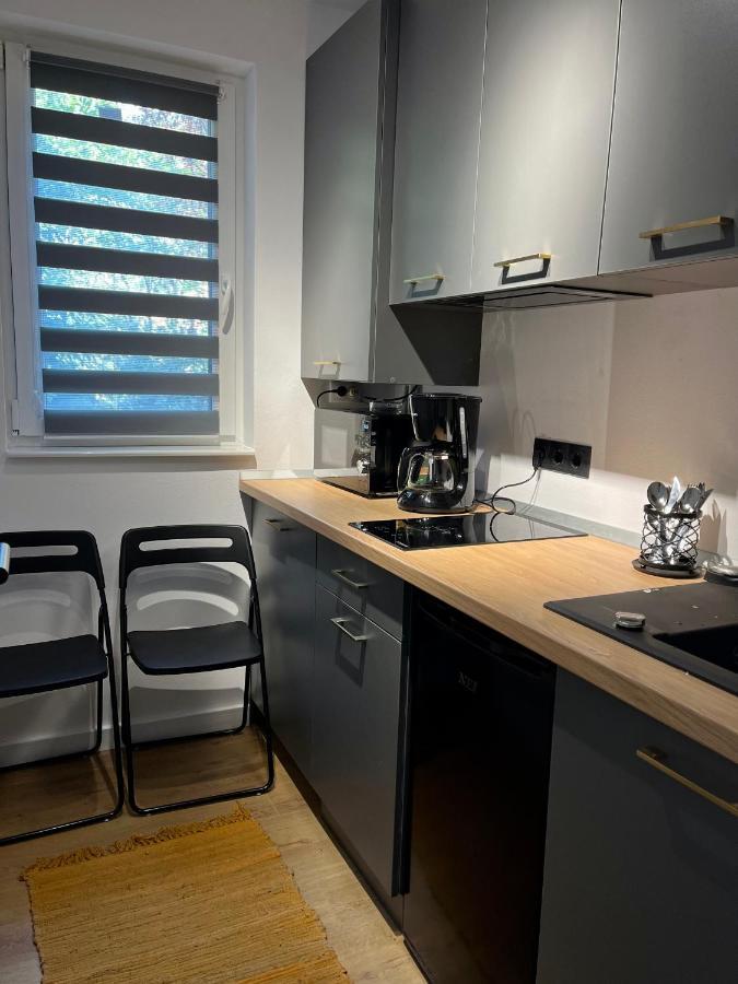 Alexander Cozy Apartment Free Private Parking Mediaş Buitenkant foto