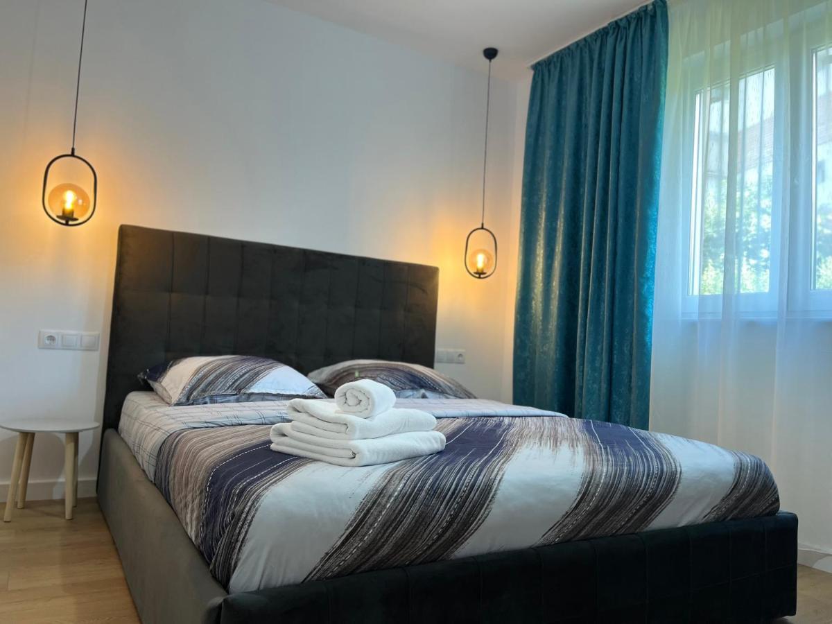Alexander Cozy Apartment Free Private Parking Mediaş Buitenkant foto