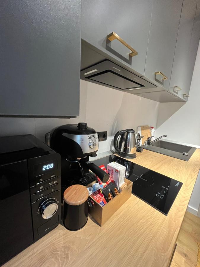 Alexander Cozy Apartment Free Private Parking Mediaş Buitenkant foto